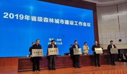 汝州都市爆料最新消息