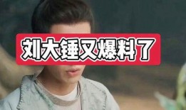 刘大锤最新爆料包贝尔,真相究竟如何？